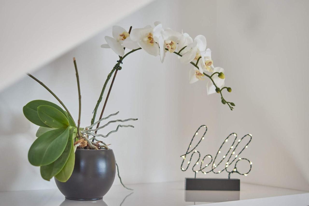 Apartman Rafi ชาโคเว็ค ภายนอก รูปภาพ